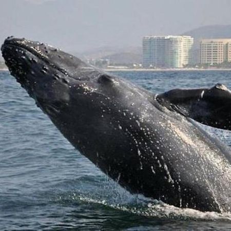 Lovely 3 Bedroom Condo With Pool Ixtapa  Esterno foto